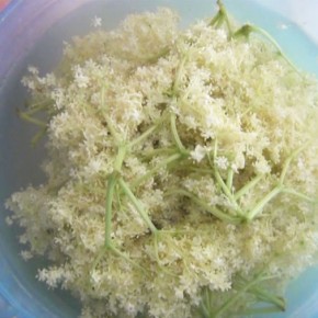 Recipe: elderflower juice